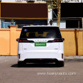 Medium to large electric vehicle voice dreamer